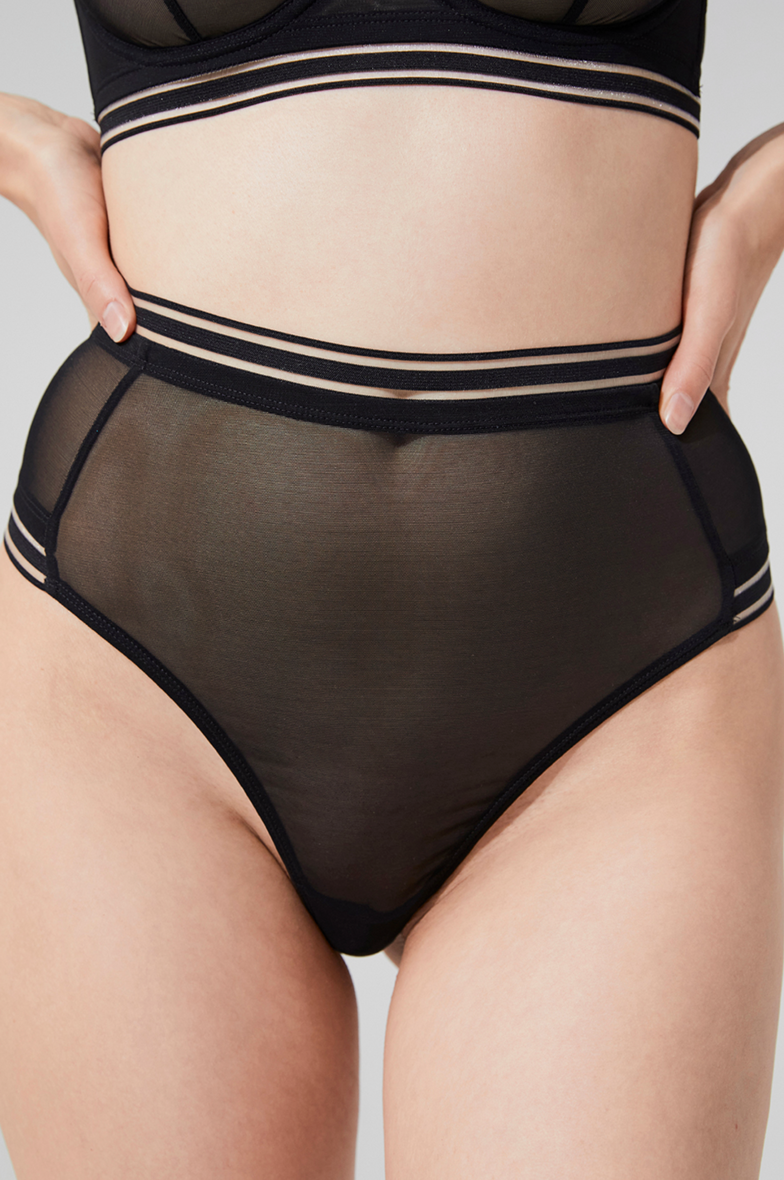 PALOMA HIGH BRIEF