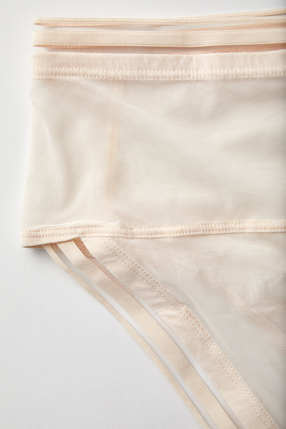 PALOMA HIGH BRIEF