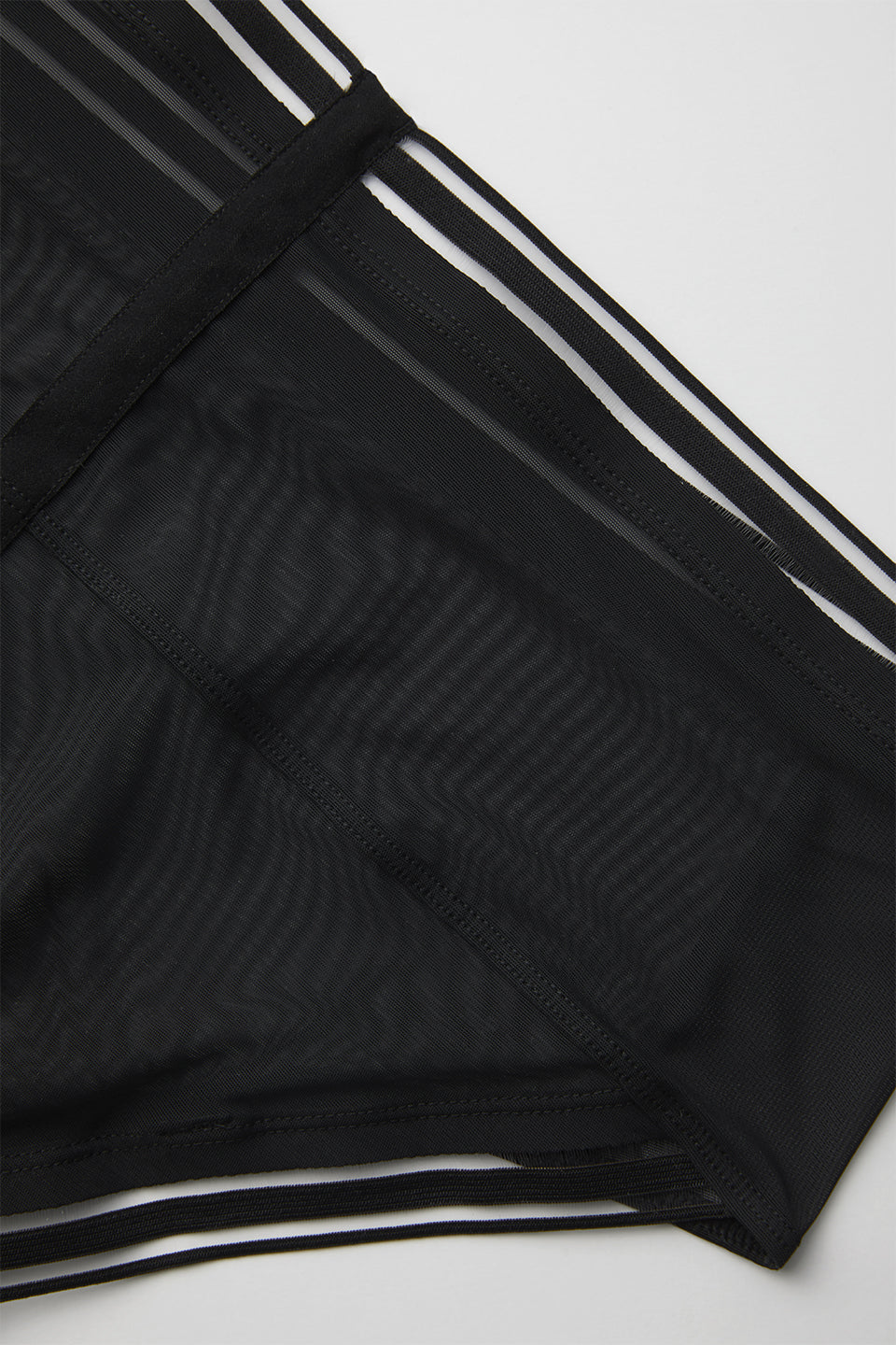 PALOMA HIGH BRIEF